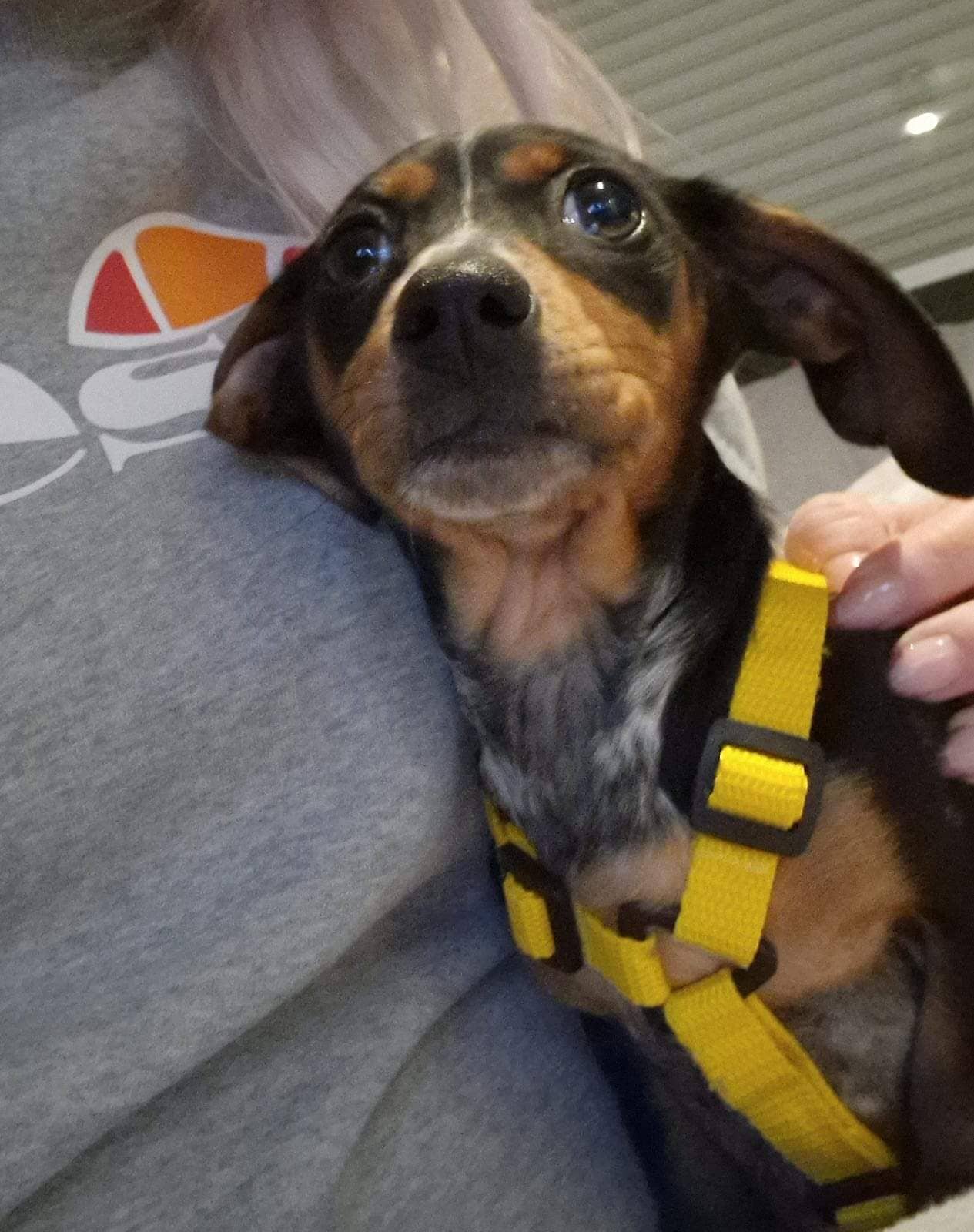 new home construction